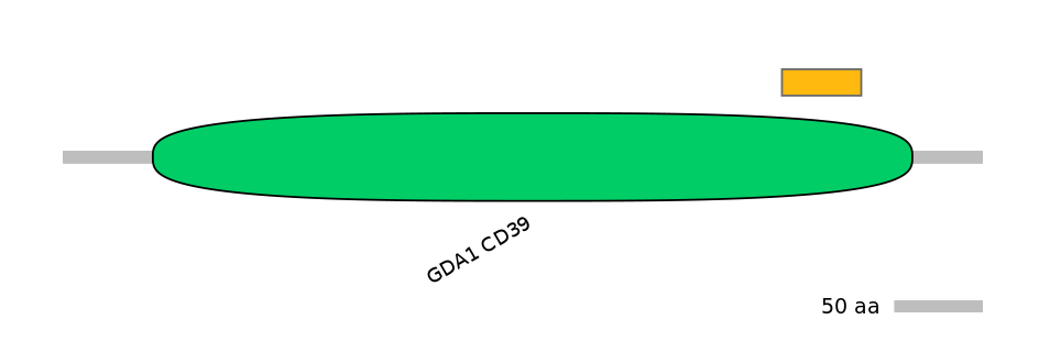 HsaEX1013145-EXC