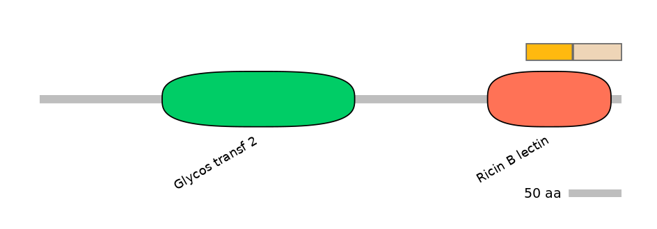 HsaEX1015179-EXC