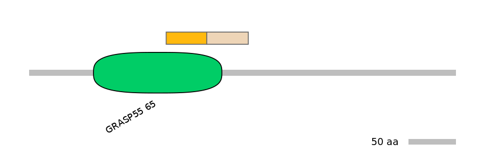 HsaEX1015863-EXC