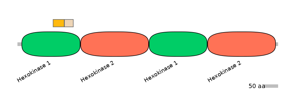 HsaEX1016877-EXC