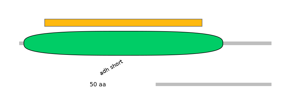 HsaEX1017194-EXC