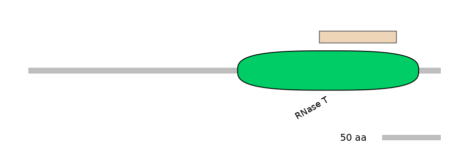 HsaEX1017934-EXC