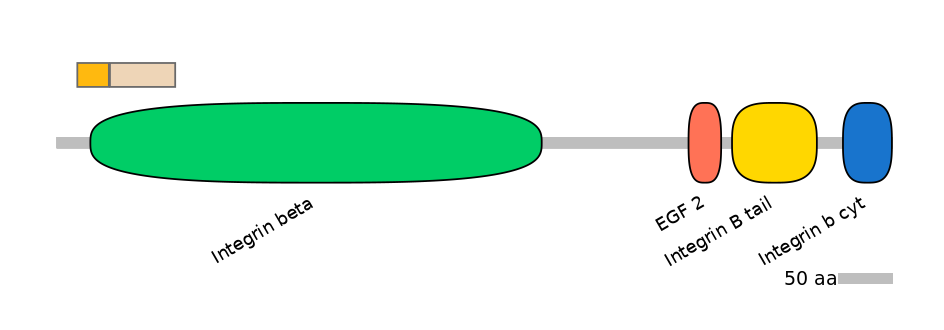 HsaEX1018034-EXC