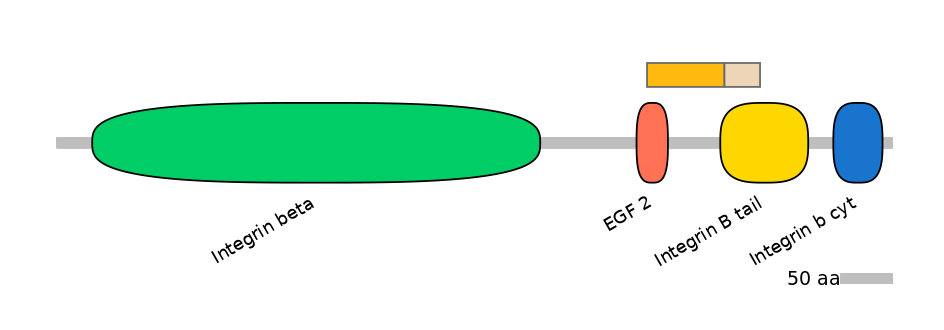 HsaEX1018045-EXC