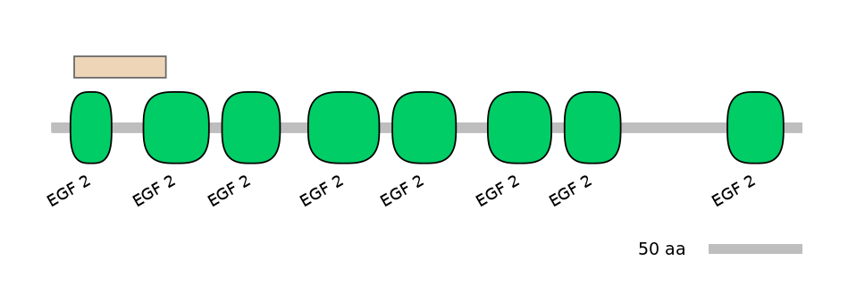 HsaEX1018055-EXC