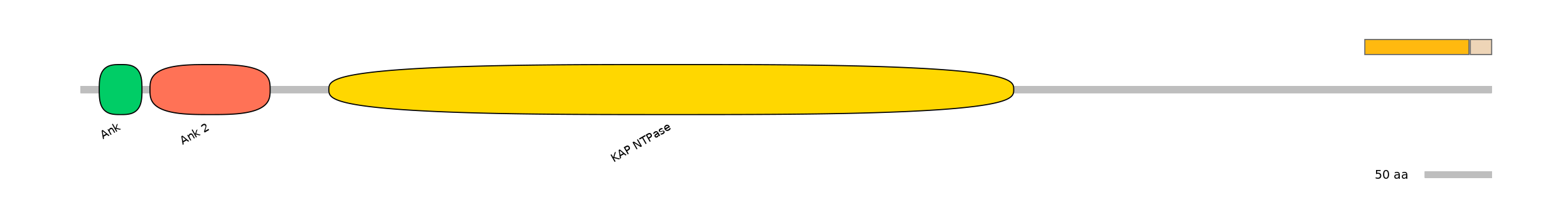 HsaEX1018790-EXC