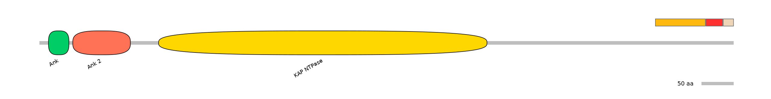 HsaEX1018790-INC