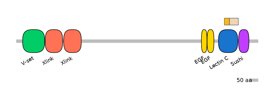 HsaEX1025234-EXC