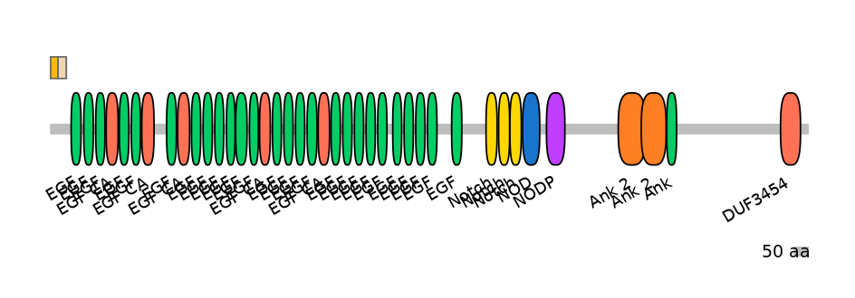 HsaEX1025943-EXC