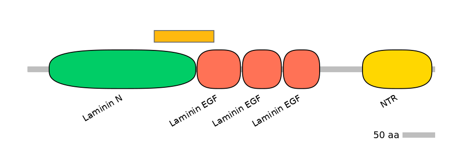 HsaEX1026278-EXC