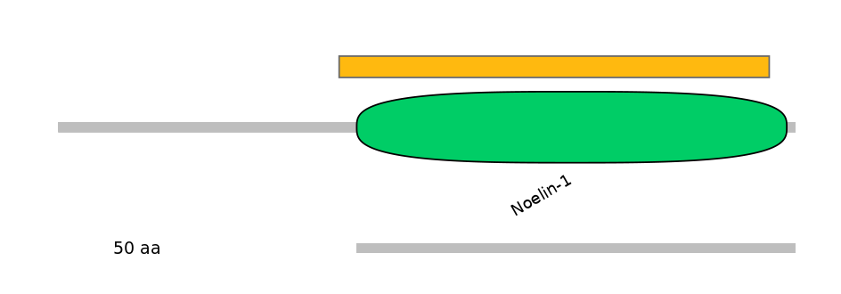 HsaEX1026578-EXC