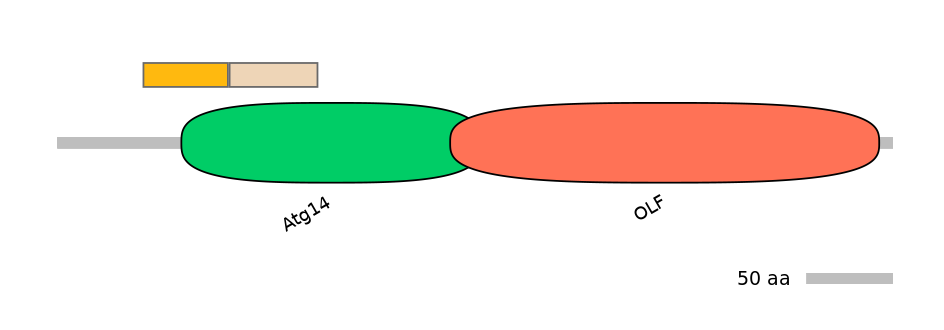HsaEX1026581-EXC