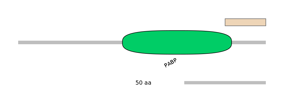 HsaEX1026839-EXC