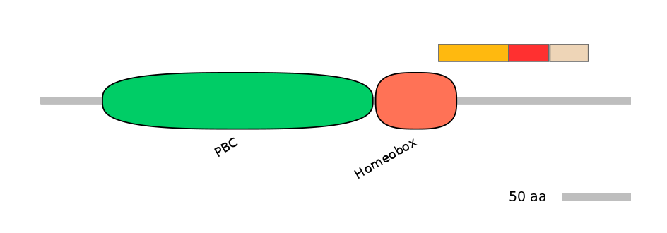 HsaEX1027169-INC