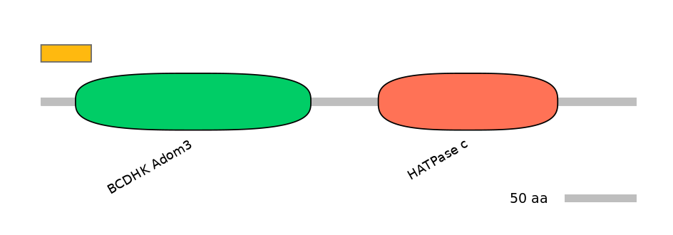 HsaEX1027551-EXC