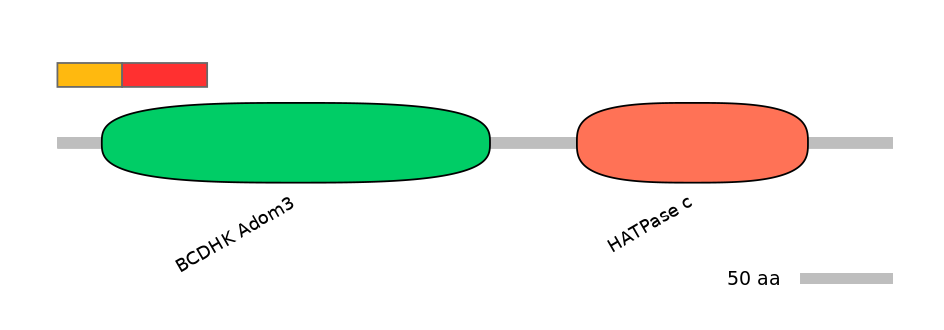 HsaEX1027551-INC