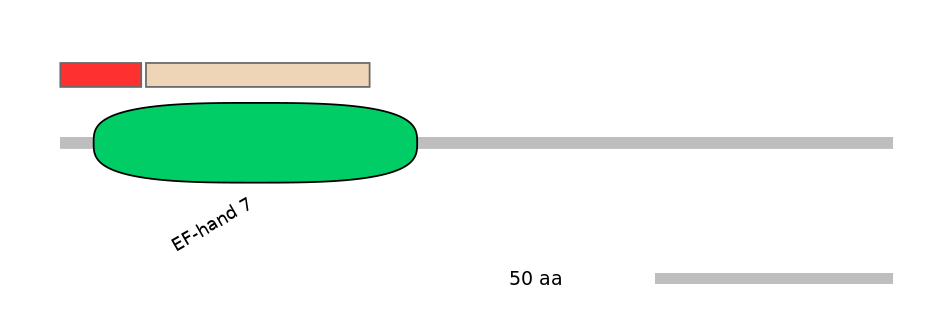 HsaEX1037265-INC