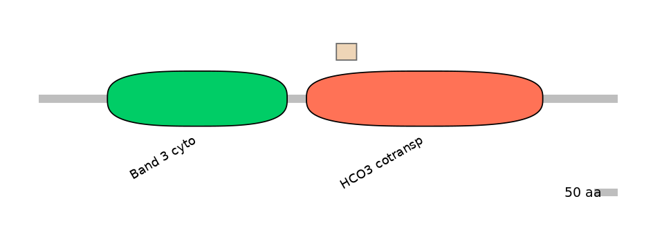 HsaEX1037606-EXC