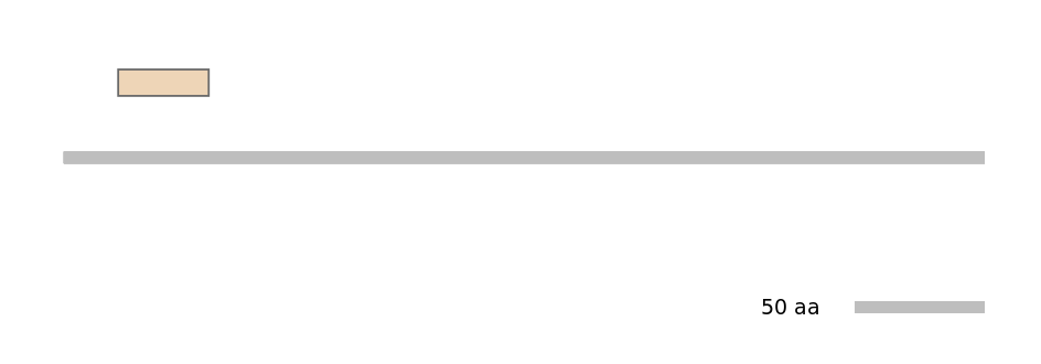 HsaEX1039111-EXC