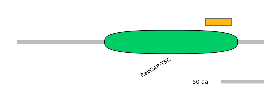 HsaEX1040129-EXC
