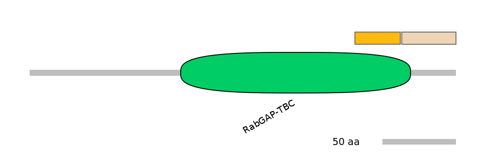 HsaEX1040130-EXC
