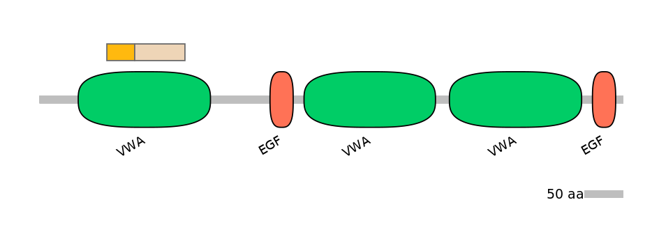 HsaEX1043717-EXC