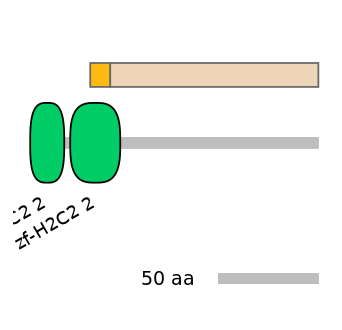 HsaEX1044832-EXC