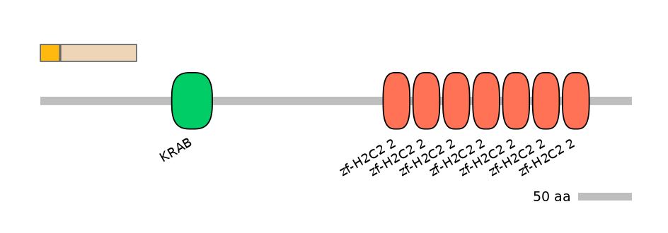 HsaEX1044866-EXC