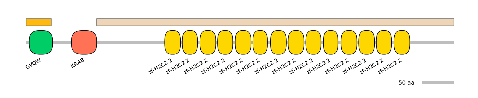HsaEX1044974-EXC