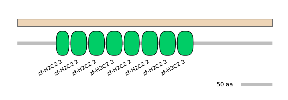 HsaEX1045003-INC