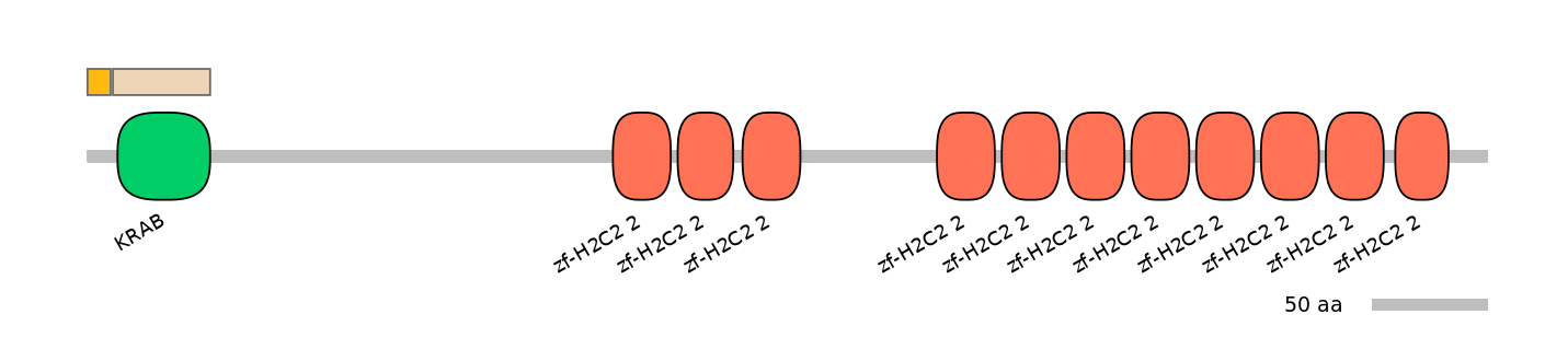 HsaEX1045043-EXC