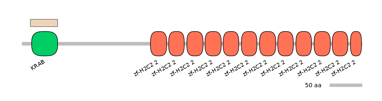 HsaEX1045137-EXC