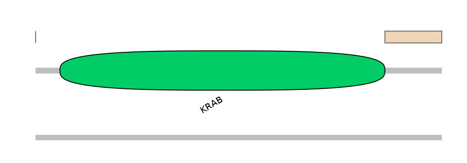 HsaEX1045190-EXC