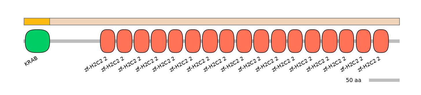 HsaEX1045285-EXC