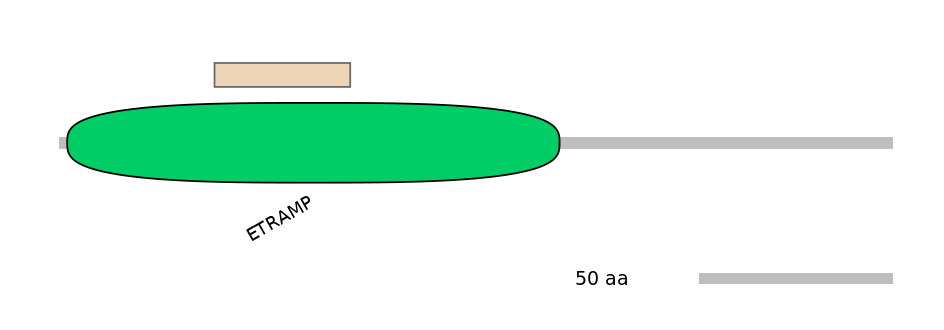 HsaEX1045296-EXC