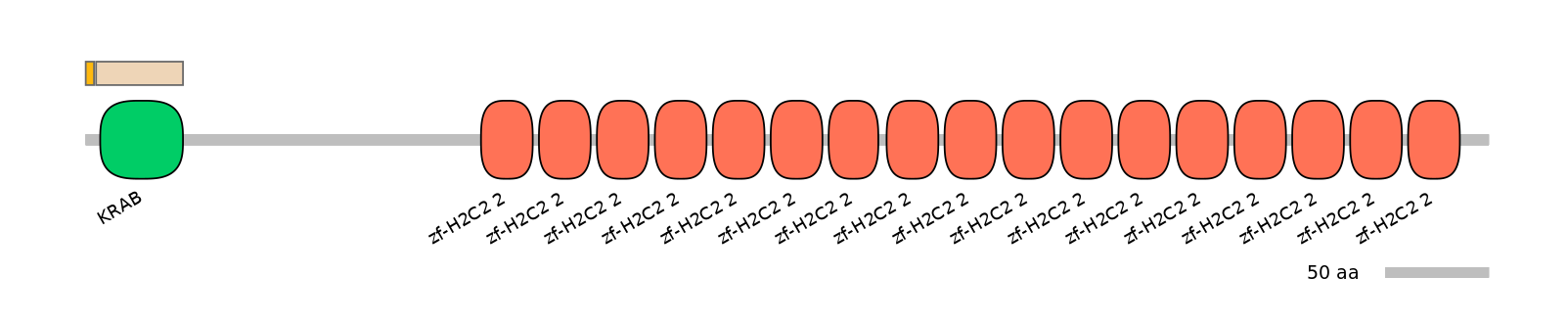 HsaEX1045363-EXC
