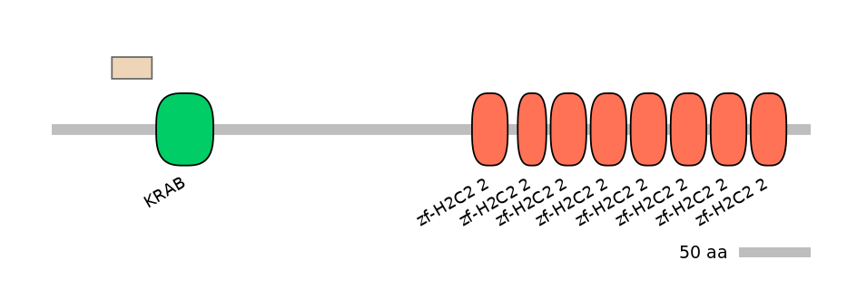 HsaEX1045395-EXC
