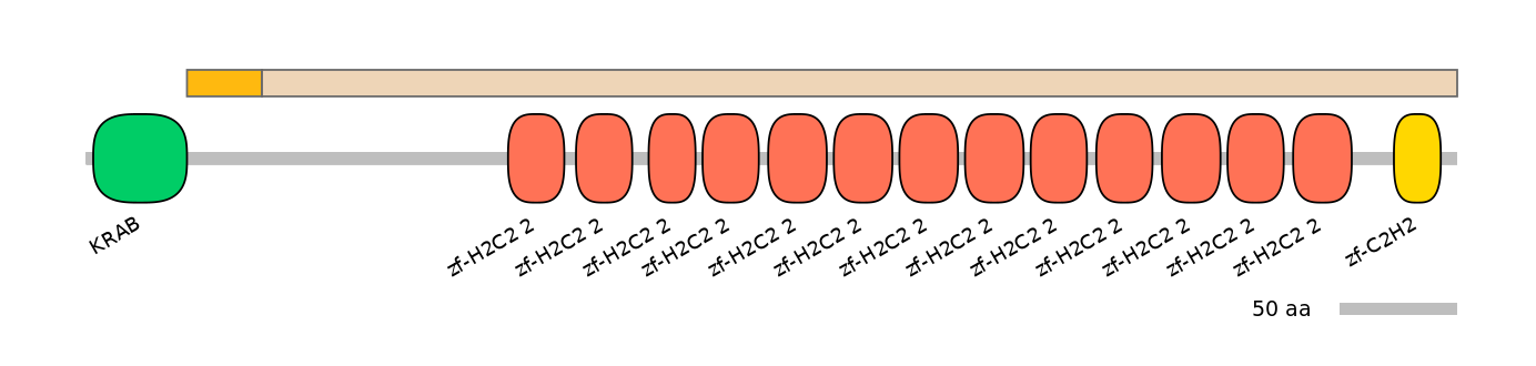 HsaEX1045456-EXC