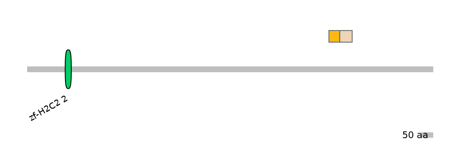 HsaEX1045541-EXC