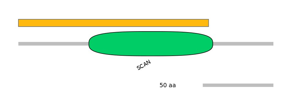 HsaEX1045647-EXC