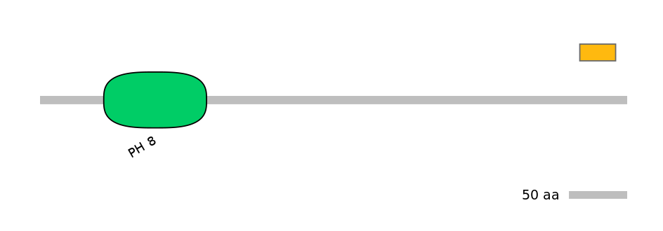 HsaEX1046177-EXC