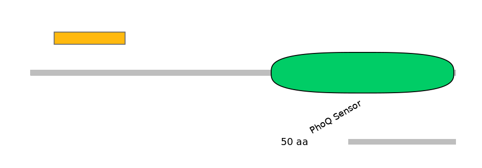 HsaEX1046218-EXC