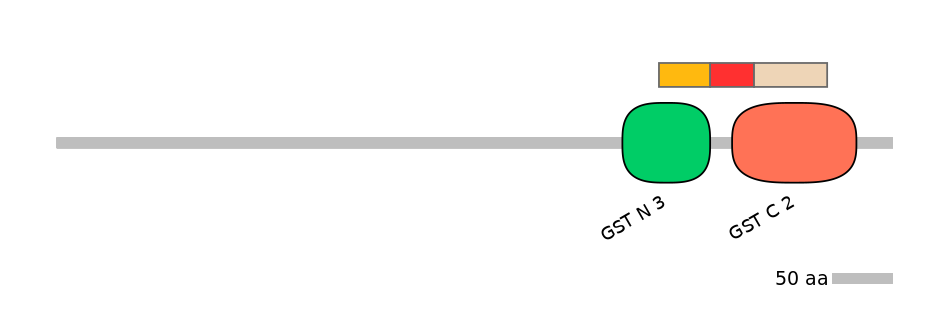 HsaEX6006073-INC