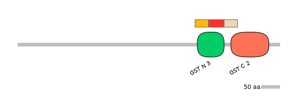 HsaEX6006074-INC
