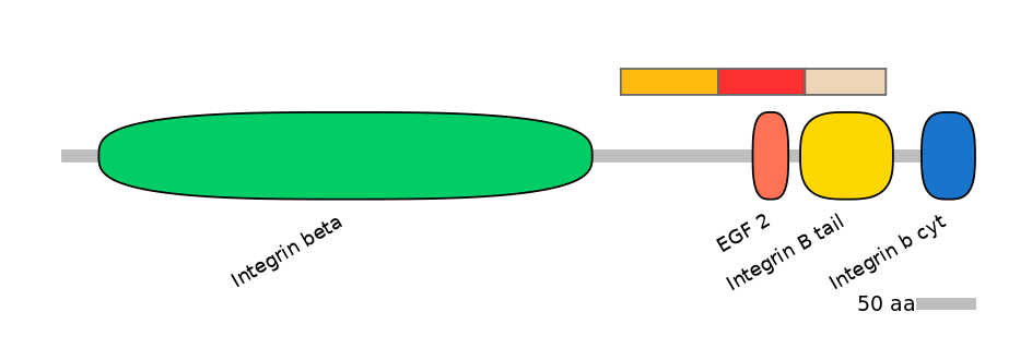 HsaEX6006566-INC