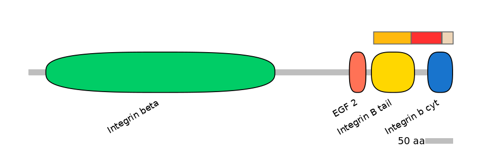 HsaEX6006568-INC