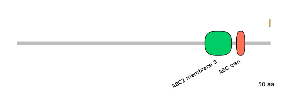 HsaEX6008197-EXC