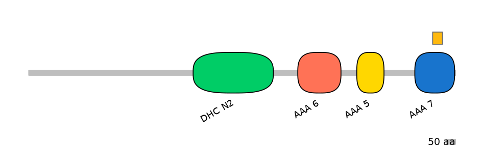 HsaEX6014179-EXC