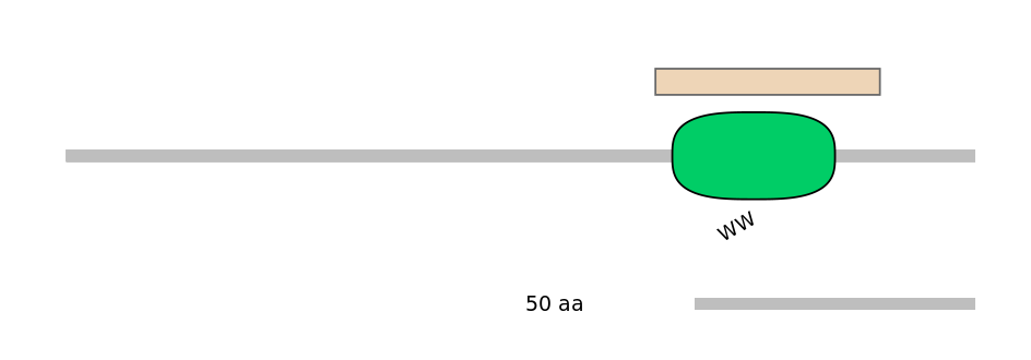 HsaEX6016052-EXC