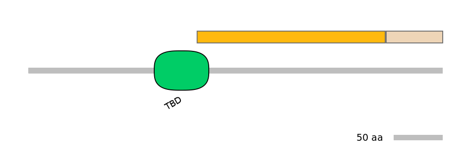 HsaEX6016207-EXC